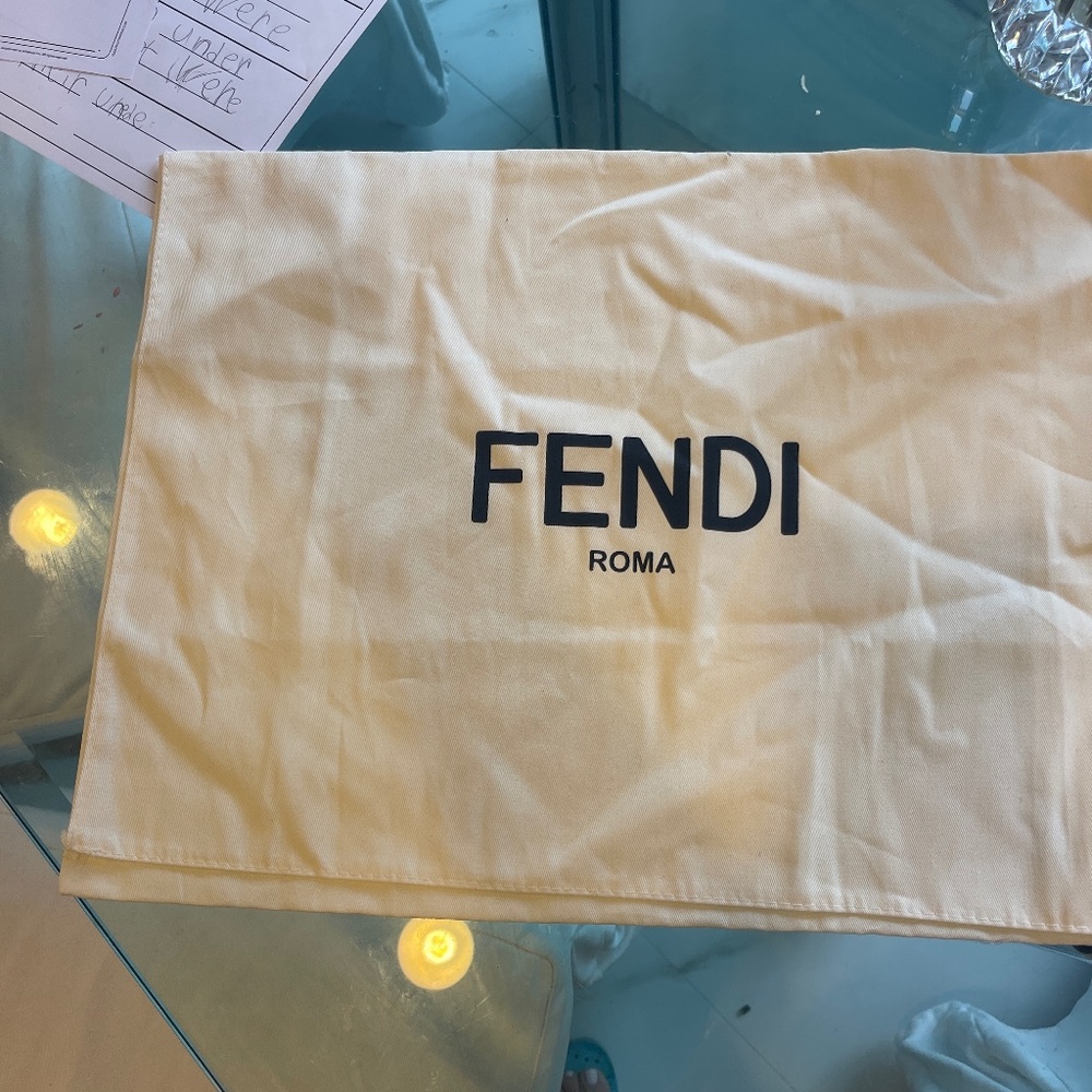 Large Fendi bag dust bag